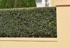 Briarbrookhard-landscaping-surfaces-8.jpg; ?>