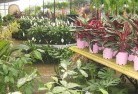 Briarbrookplant-nursery-7.jpg; ?>